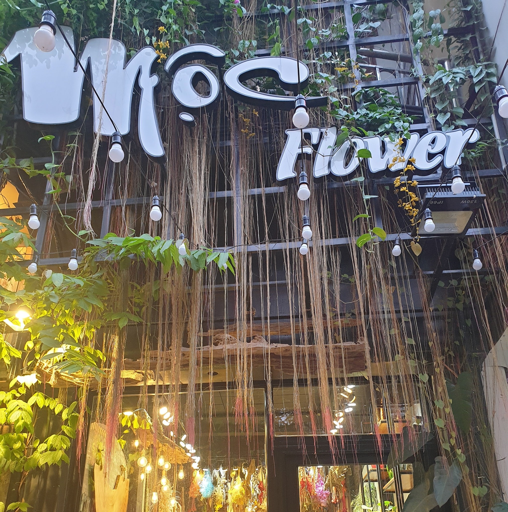 Flower 1