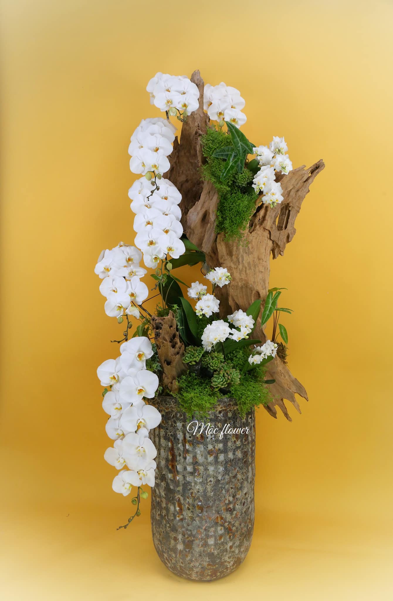 Flower 1