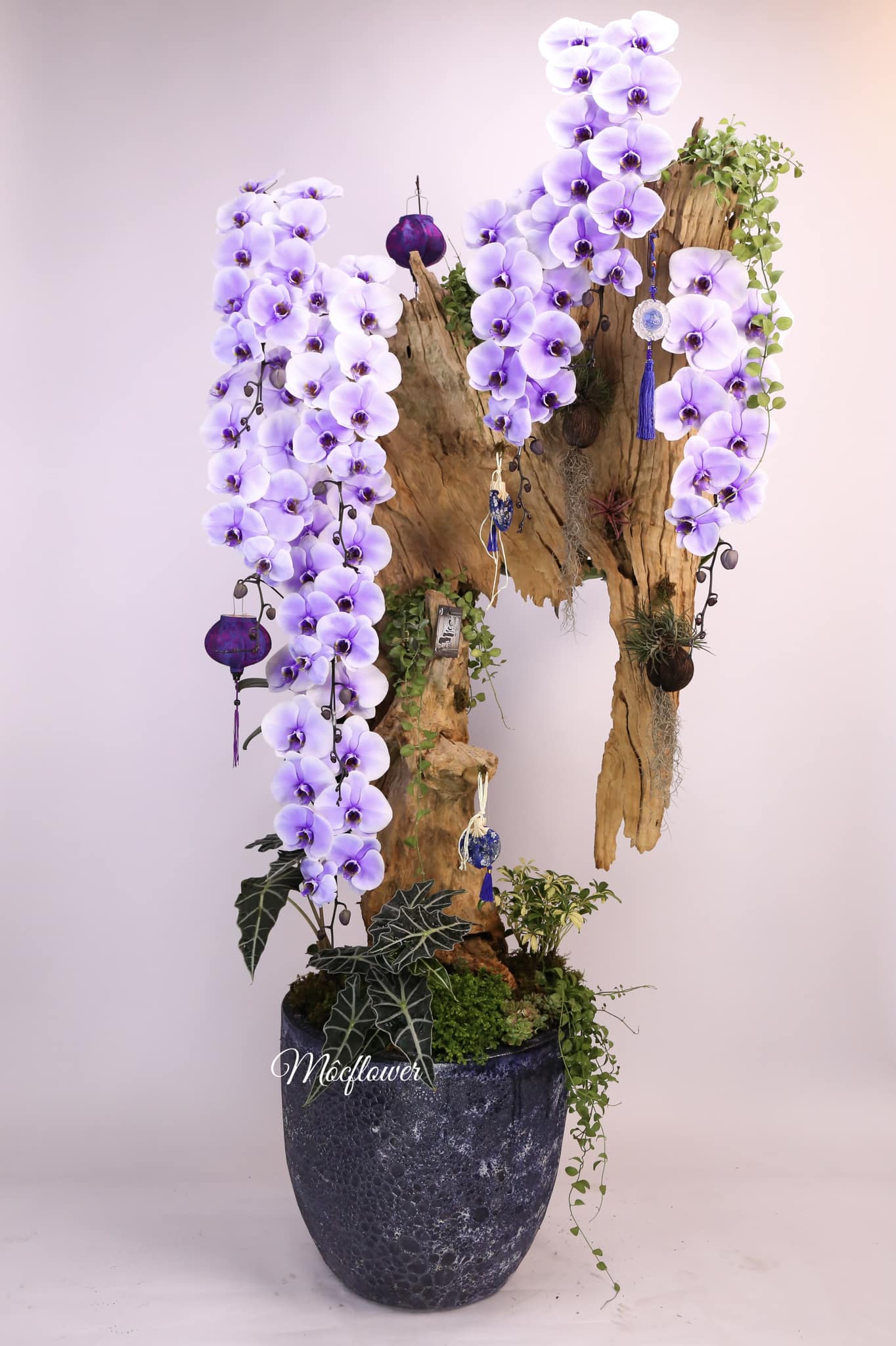 Flower 2