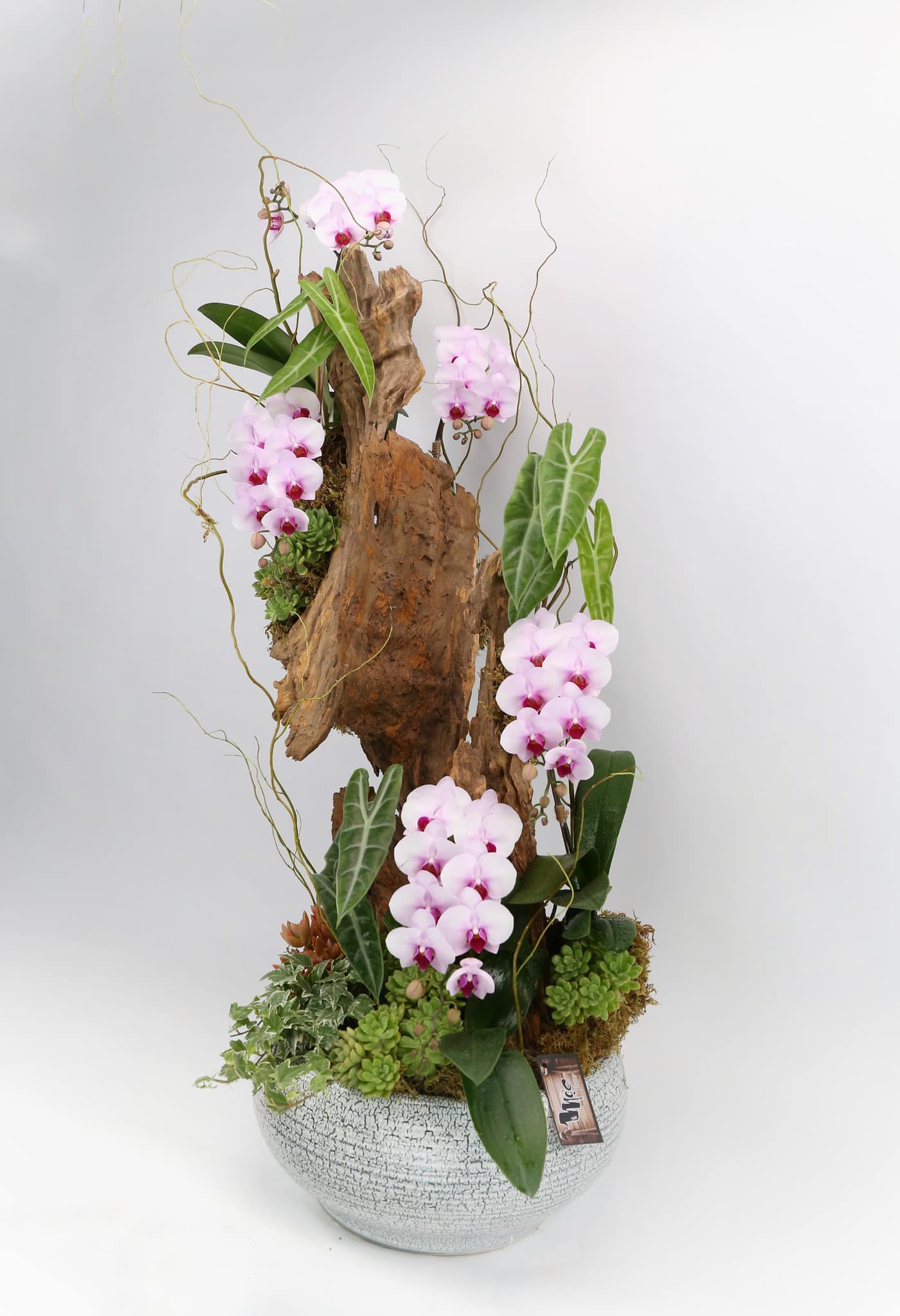 Flower 2