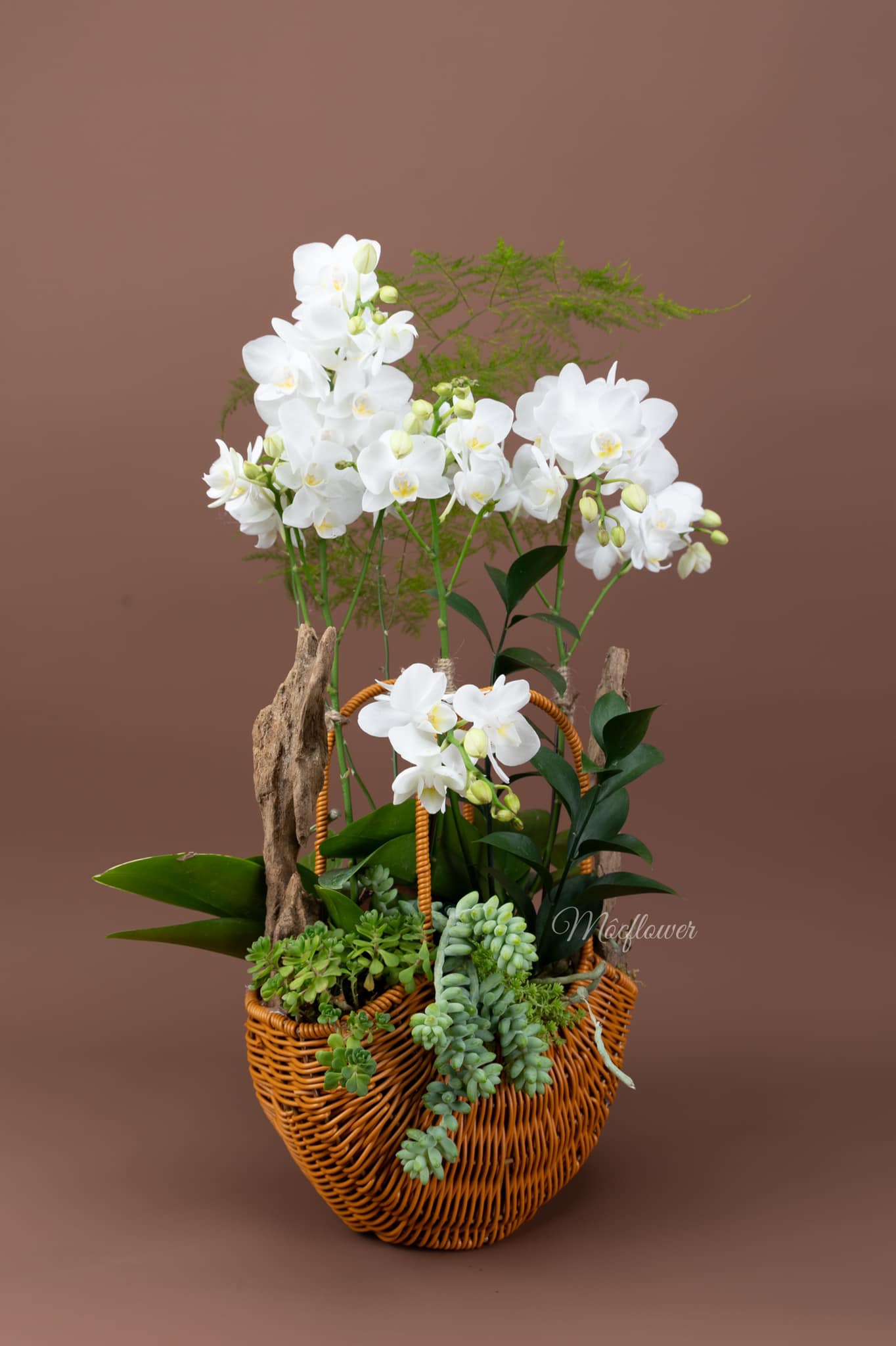 Flower 2
