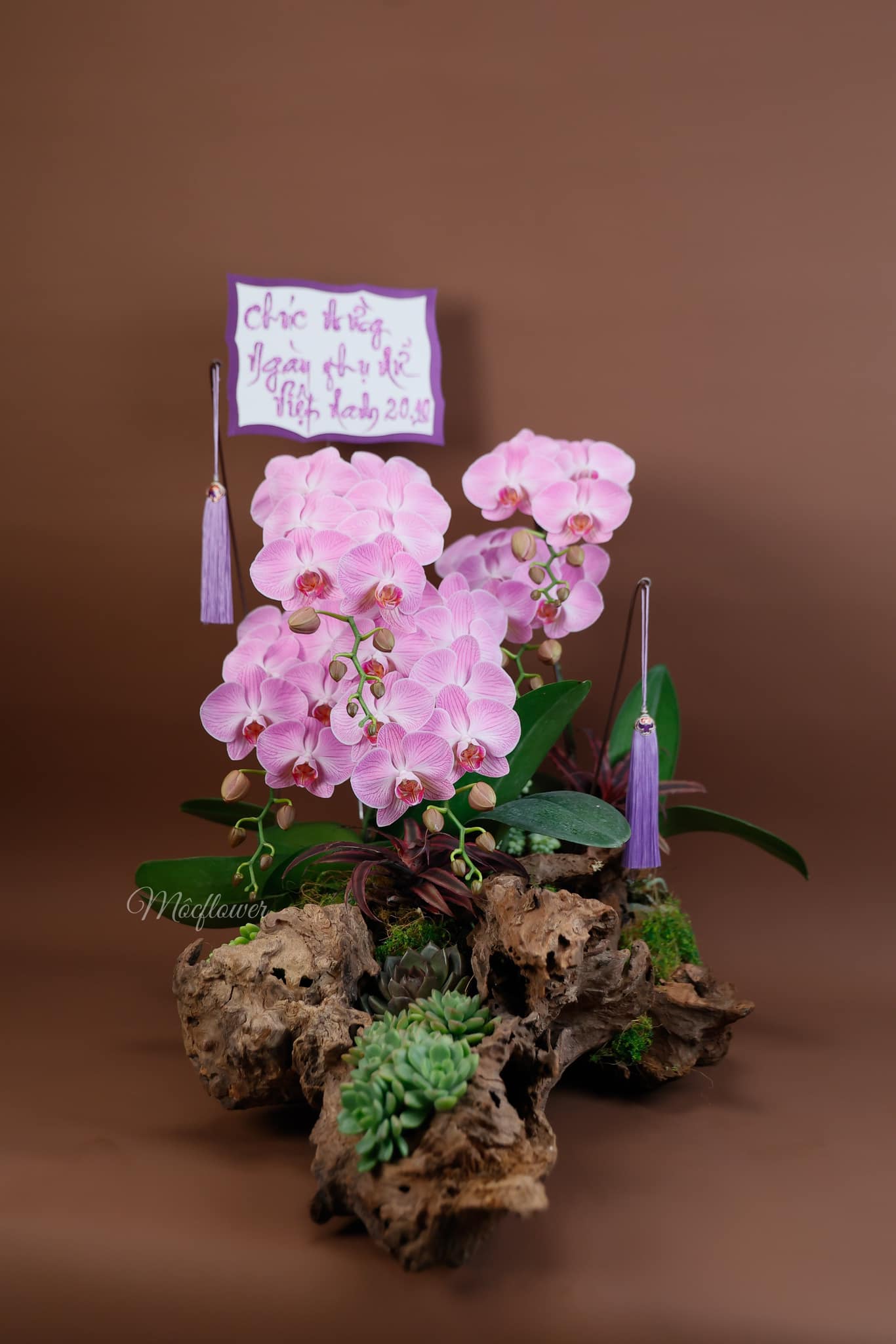 Flower 2