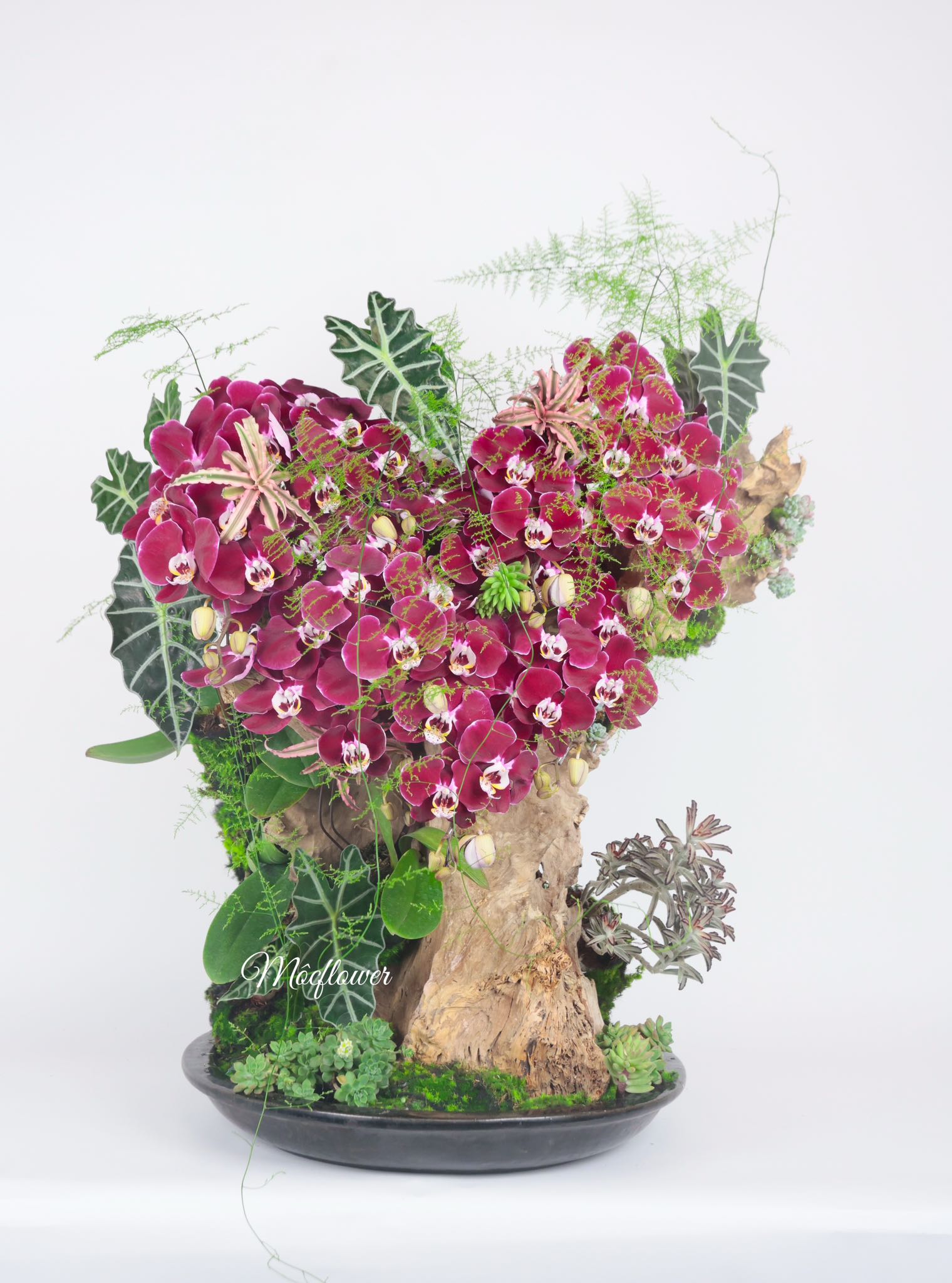 Flower 4