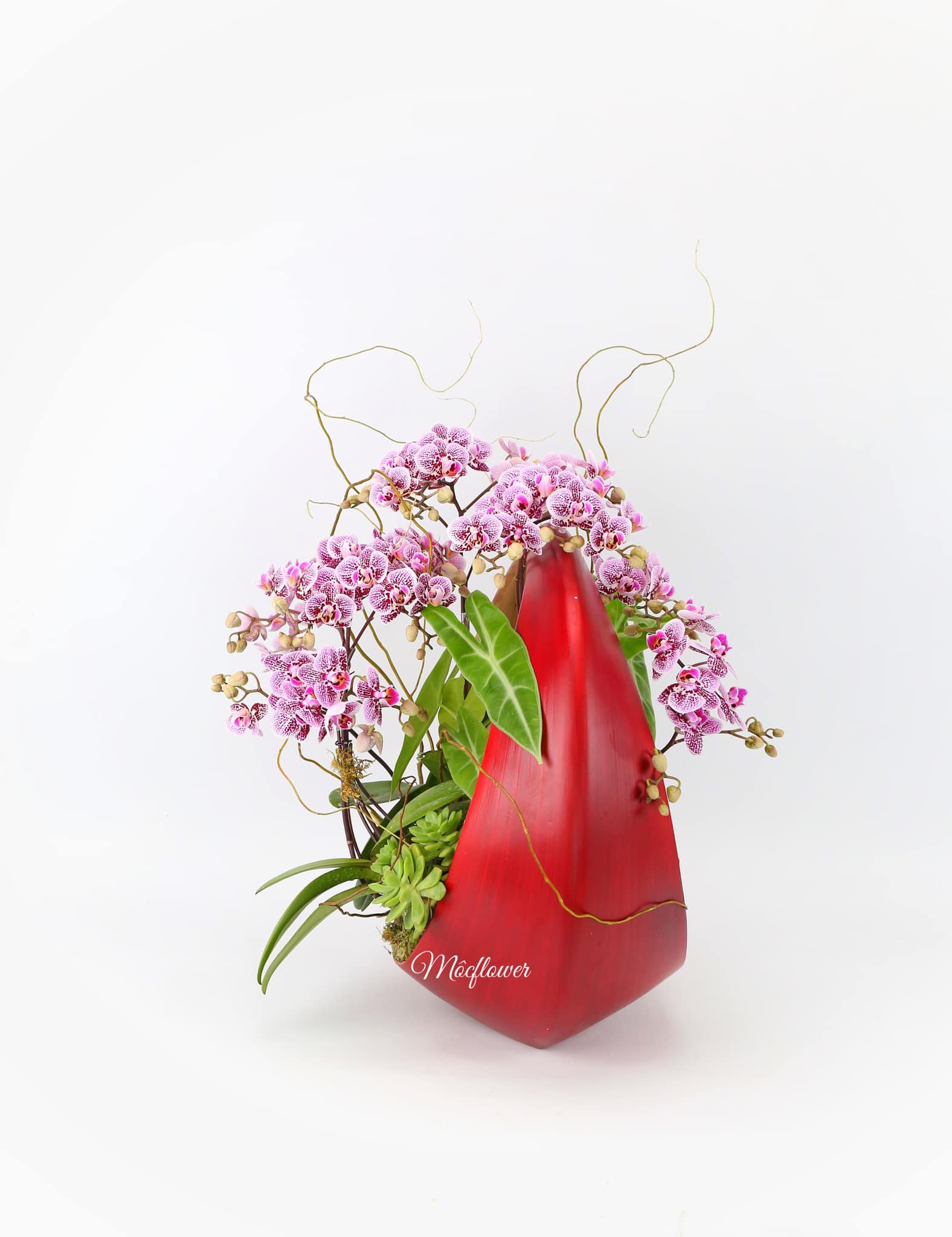 Flower 3